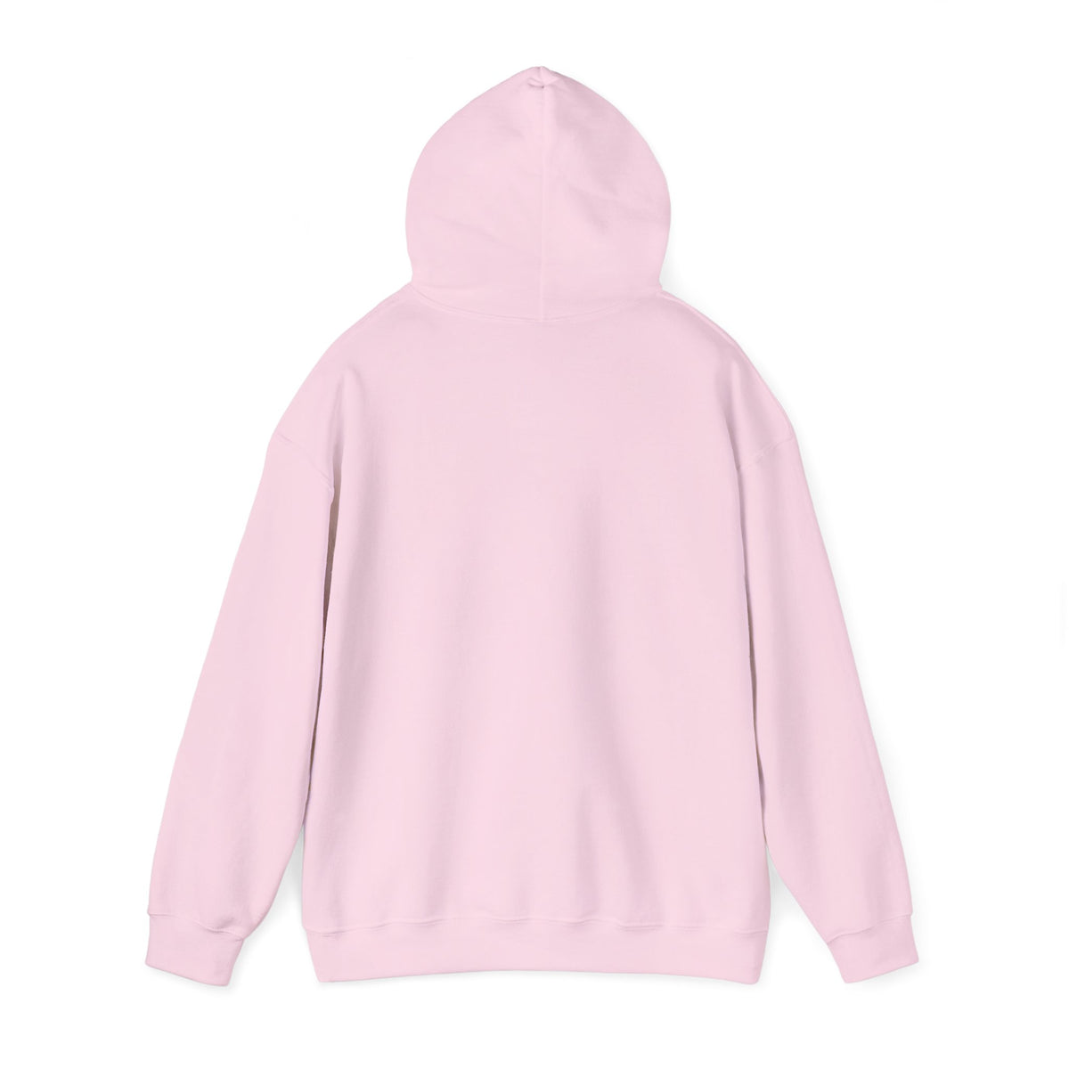 “Low Effort. High Standards.” Motivational Hoodie