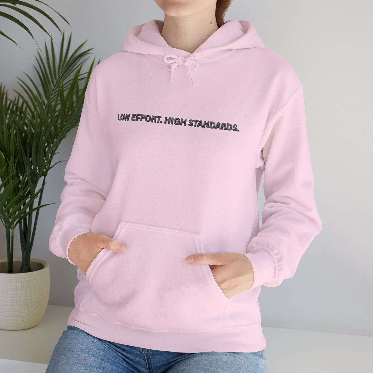 “Low Effort. High Standards.” Motivational Hoodie