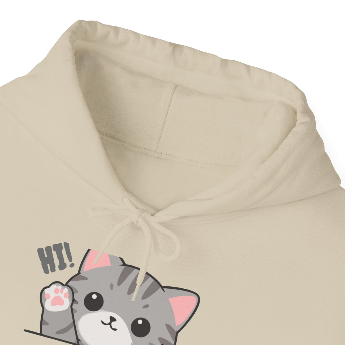 Cute Cat Hugging Hoodie