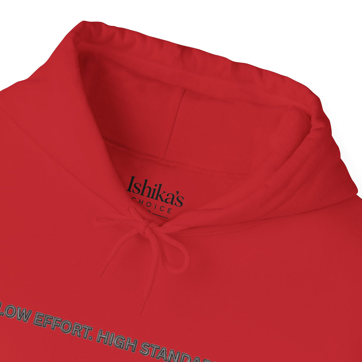 “Low Effort. High Standards.” Motivational Hoodie