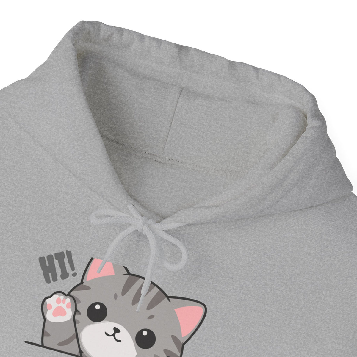 Cute Cat Hugging Hoodie