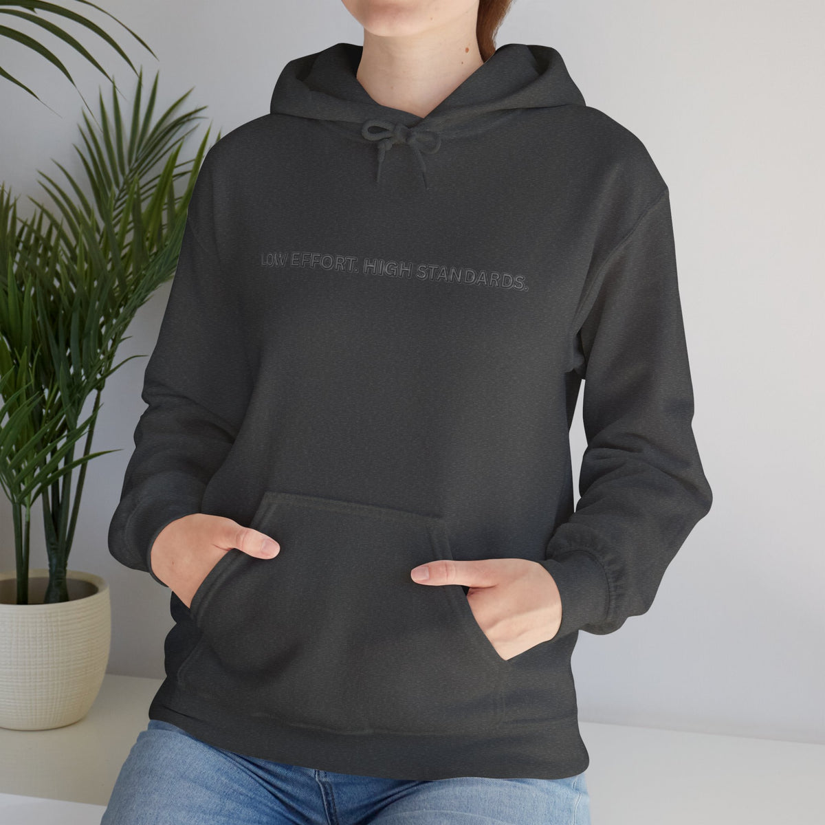“Low Effort. High Standards.” Motivational Hoodie