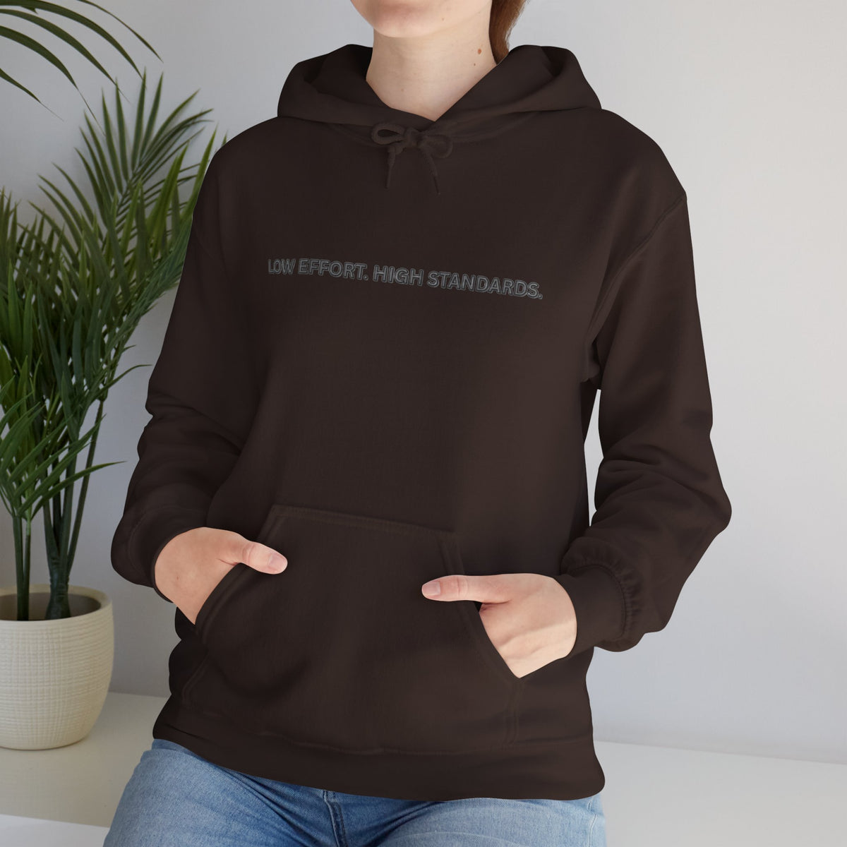 “Low Effort. High Standards.” Motivational Hoodie