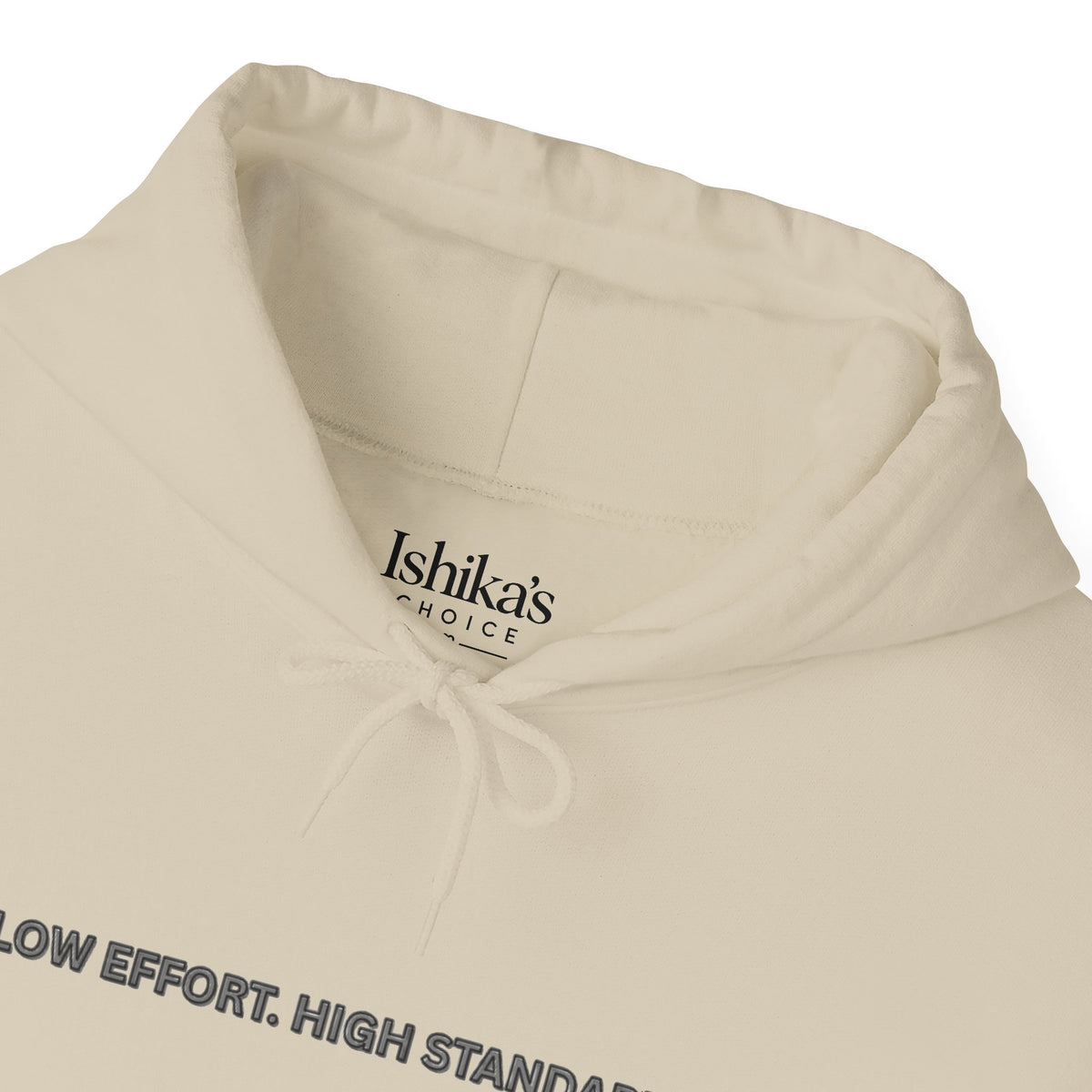 “Low Effort. High Standards.” Motivational Hoodie