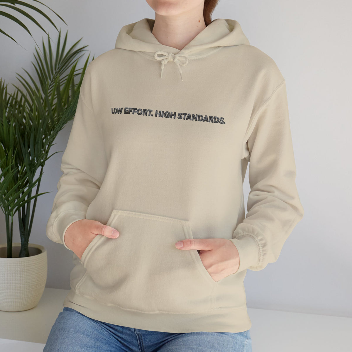 “Low Effort. High Standards.” Motivational Hoodie