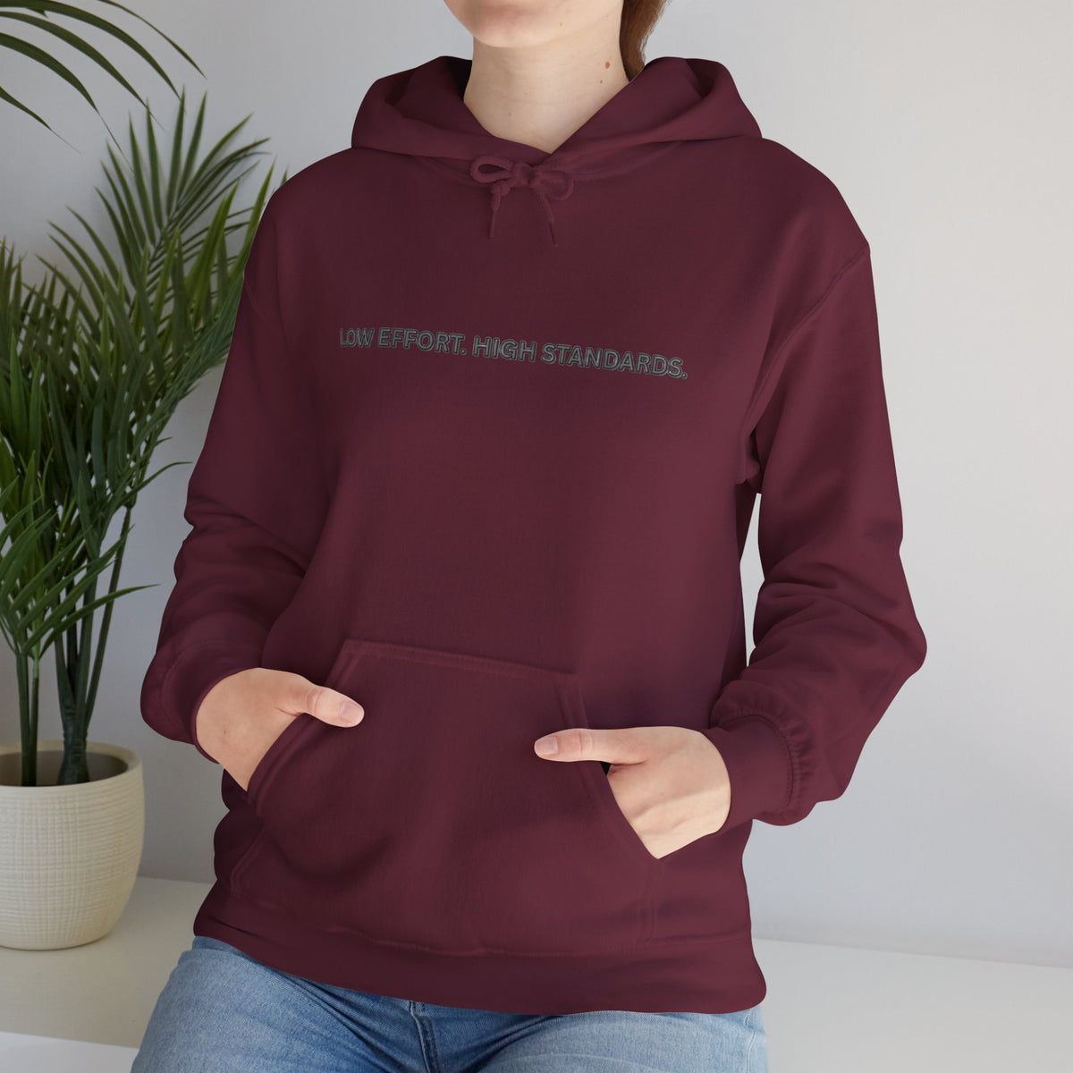“Low Effort. High Standards.” Motivational Hoodie