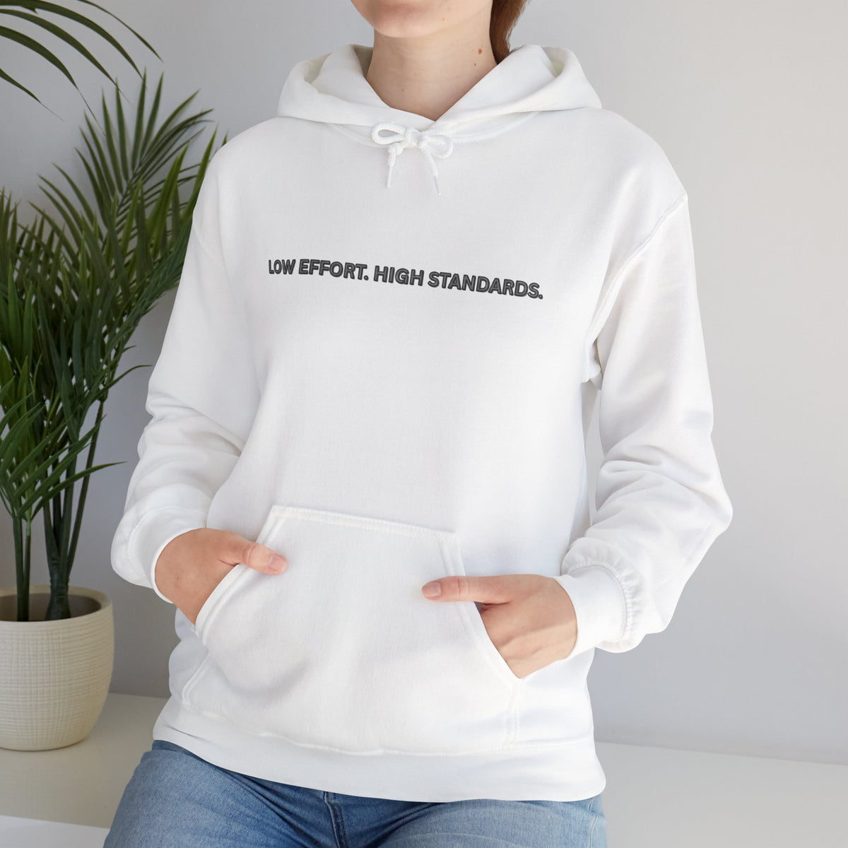 “Low Effort. High Standards.” Motivational Hoodie