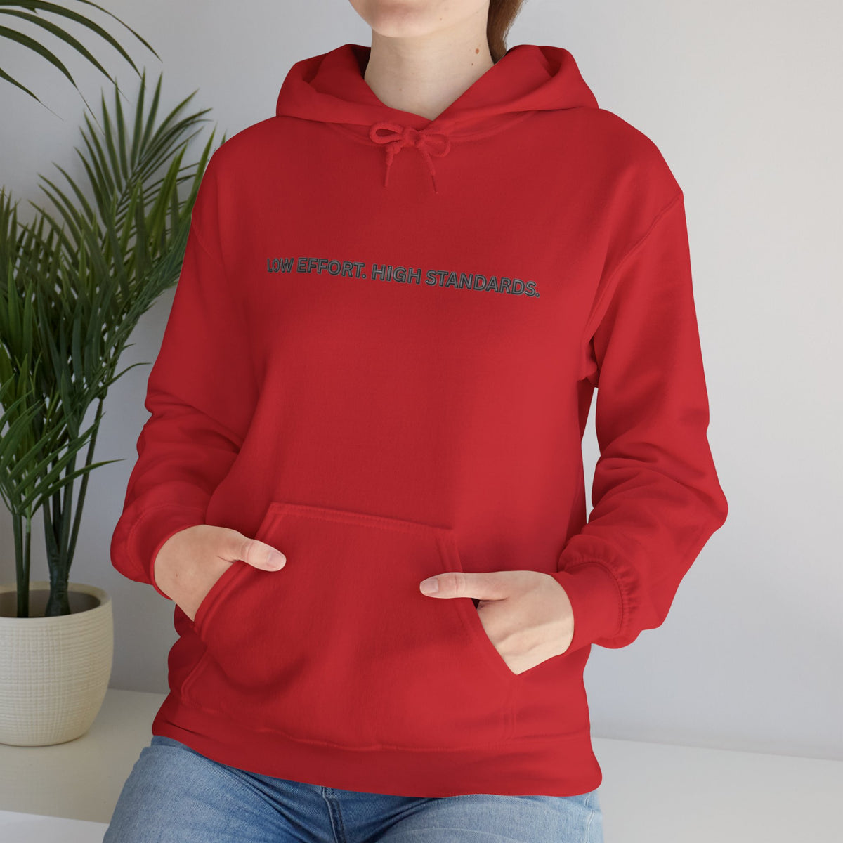 “Low Effort. High Standards.” Motivational Hoodie